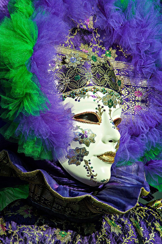 Castiglion Fibocchi Gennaio 2016 (48).JPG